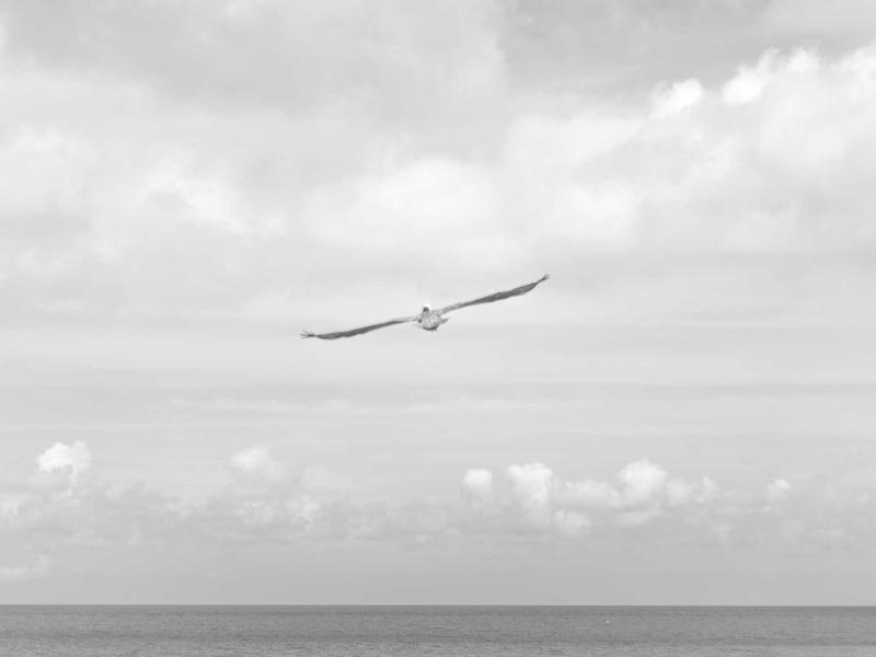 Equipo VelnarOrbisCly